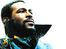 https://image.noelshack.com/fichiers/2022/20/5/1653058412-marvin-gaye-tison-1.png