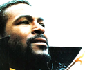 https://image.noelshack.com/fichiers/2022/20/5/1653058630-marvin-gaye-tison-1-1.png