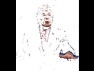 https://image.noelshack.com/fichiers/2022/20/6/1653162846-stop-the-count-donald-trump.gif