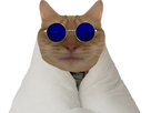 https://image.noelshack.com/fichiers/2022/20/7/1653227714-1636383039-chatlunettecouette.png