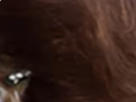 https://image.noelshack.com/fichiers/2022/21/2/1653393548-20-pvakferx.png