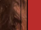 https://image.noelshack.com/fichiers/2022/21/2/1653393549-35-pvakferx.png