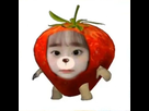 https://image.noelshack.com/minis/2022/21/3/1653446375-c078bde5109c4f7346991191038da358.png