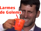 https://image.noelshack.com/fichiers/2022/21/3/1653499615-djokovic-boit-les-larmes-des-gelems-triple-dosed.png