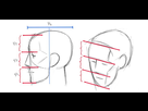 https://www.noelshack.com/2022-21-3-1653506303-how-to-draw-a-face-p3-720x350.jpeg