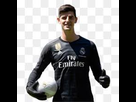 https://image.noelshack.com/fichiers/2022/21/7/1653809869-thibaut-courtois.jpg