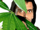 https://image.noelshack.com/fichiers/2022/21/7/1653844283-ramos-predateur.png