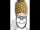 https://image.noelshack.com/fichiers/2022/22/4/1654185326-fruit-hat-pineapple-soy-soyboy-soyjak-tagme-202.png