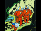 https://image.noelshack.com/fichiers/2022/22/5/1654288392-magnet-tintin-haddock-et-milou-lune.jpg