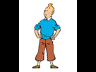 https://image.noelshack.com/fichiers/2022/22/5/1654289081-tintin-infobox.png