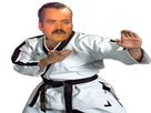 https://image.noelshack.com/fichiers/2022/22/6/1654363086-1522672196-risi-karate1.png