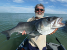 https://image.noelshack.com/fichiers/2022/22/6/1654373191-peche-bar-loup-toc-mer-07.jpg