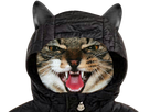 https://image.noelshack.com/fichiers/2022/23/1/1654534328-angry-cat.png