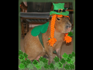 https://image.noelshack.com/fichiers/2022/23/1/1654541639-stpatricksday.jpg