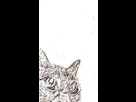 https://image.noelshack.com/minis/2022/23/2/1654601973-going-insane-cat.png
