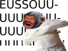 https://image.noelshack.com/minis/2022/23/2/1654624532-singefoucrieureussou.png