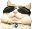 https://image.noelshack.com/fichiers/2022/23/3/1654650021-chaent2.png