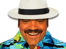 https://image.noelshack.com/fichiers/2022/23/6/1654957258-1651599033-risitas-hawai-sticker.png