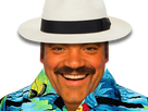 https://image.noelshack.com/fichiers/2022/23/6/1654958322-1651599033-risitas-hawai-sticker.png