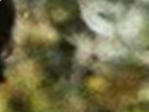 https://image.noelshack.com/fichiers/2022/23/7/1655060234-8-nugekup6.png