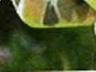 https://image.noelshack.com/fichiers/2022/23/7/1655060268-29-nugekup6.png