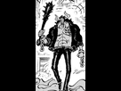 https://image.noelshack.com/fichiers/2022/23/7/1655065444-kaidou-punk-hazard.png