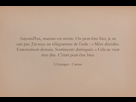 https://image.noelshack.com/fichiers/2022/24/3/1655292310-aujourdhui-maman-est-morte.jpg