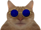 https://image.noelshack.com/fichiers/2022/24/5/1655481308-1636279598-chatlunette.png
