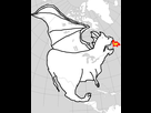 https://image.noelshack.com/fichiers/2022/25/4/1655938024-c9cb306b00a0f91d23c8bdd1ad51a999-here-be-dragons-newfoundland.jpg