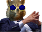 https://image.noelshack.com/fichiers/2022/25/4/1655993062-en-effet-rocket-racconlunette.png
