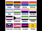 https://image.noelshack.com/fichiers/2022/25/7/1656261944-image-1619753-20200103-ob-dadd1a-pride-flags.jpg