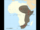 https://image.noelshack.com/fichiers/2022/26/2/1656423583-2560px-map-of-the-fossil-sites-of-the-early-hominids-4-4-1m-bp-svg.png