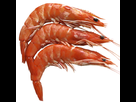 https://image.noelshack.com/fichiers/2022/26/2/1656425315-crevettes-1000.png