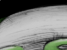 https://image.noelshack.com/minis/2022/26/5/1656660865-4-yf4vft2x.png