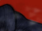 https://image.noelshack.com/minis/2022/26/5/1656660898-32-yf4vft2x.png