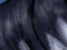 https://image.noelshack.com/minis/2022/26/5/1656660898-33-yf4vft2x.png