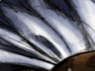 https://image.noelshack.com/minis/2022/26/5/1656660898-41-yf4vft2x.png