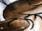 https://image.noelshack.com/minis/2022/26/5/1656660898-42-yf4vft2x.png