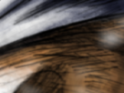 https://image.noelshack.com/minis/2022/26/5/1656660930-48-yf4vft2x.png