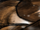 https://image.noelshack.com/minis/2022/26/5/1656660930-49-yf4vft2x.png