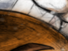 https://image.noelshack.com/minis/2022/26/5/1656660931-53-yf4vft2x.png
