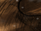 https://image.noelshack.com/minis/2022/26/5/1656660931-57-yf4vft2x.png
