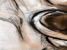 https://image.noelshack.com/minis/2022/26/5/1656660931-63-yf4vft2x.png