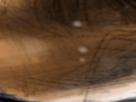 https://image.noelshack.com/minis/2022/26/5/1656660962-65-yf4vft2x.png