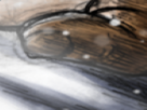 https://image.noelshack.com/minis/2022/26/5/1656660964-71-yf4vft2x.png