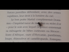 https://image.noelshack.com/fichiers/2022/26/6/1656752594-mouche.png