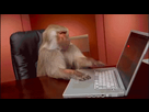 https://image.noelshack.com/fichiers/2022/26/7/1656870400-singess.gif