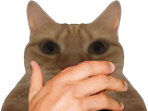 https://image.noelshack.com/fichiers/2022/27/3/1657111249-1630448106-ypgghgm1.png