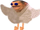 https://image.noelshack.com/fichiers/2022/28/3/1657713197-1651569339-sticker-risitas-oiseau-canard-lunette-bleu-golem-ready.jpg