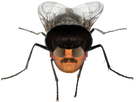 https://image.noelshack.com/fichiers/2022/29/2/1658216024-1630492234-image-9.png